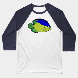 Colin’s Angelfish Baseball T-Shirt